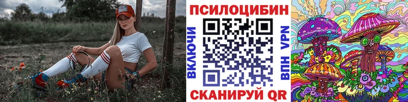 Галлюциногенные грибы MAGIC MUSHROOMS  сколько стоит  Кимры 