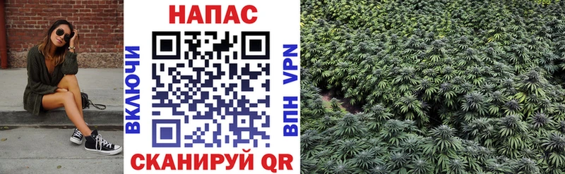 маркетплейс как зайти  Кимры  Каннабис планчик 
